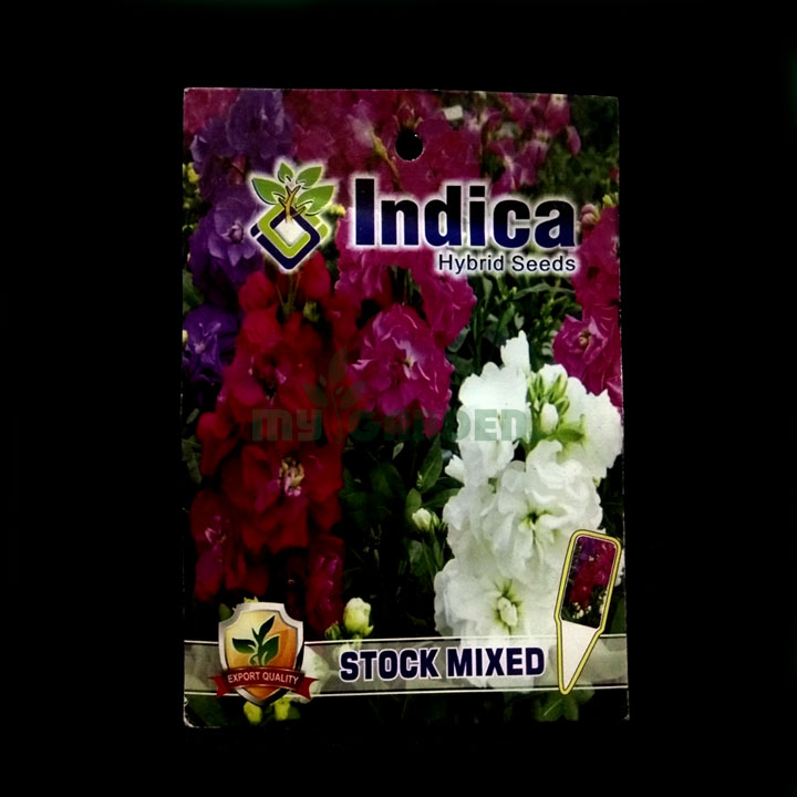 Stock Mixed – (50 seeds) – Indica - Indian