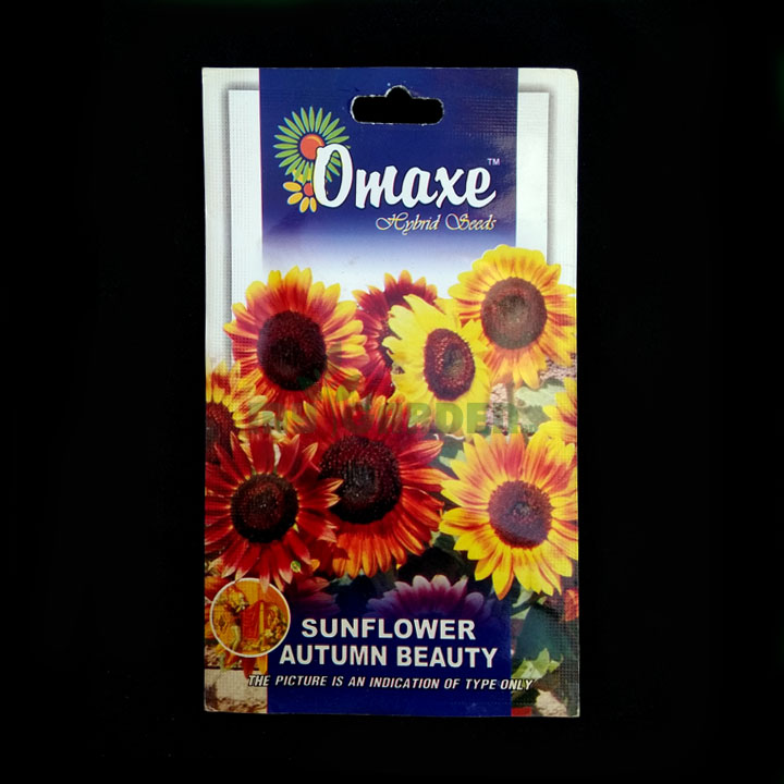 Sunflower Autumn Beauty – (30 seeds) – Omaxe - Indian