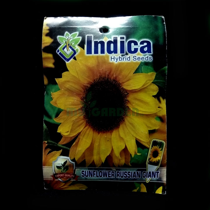 Sunflower Russian Giant – (30 seeds) – Indica - Indian