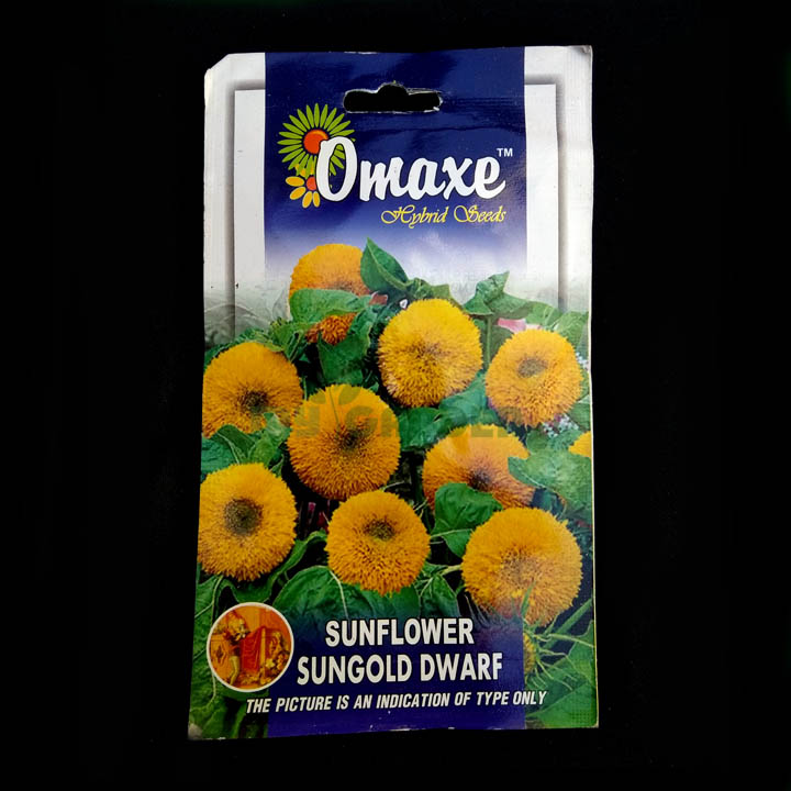 Sunflower Sungold Dwarf – (50 seeds) – Omaxe - Indian