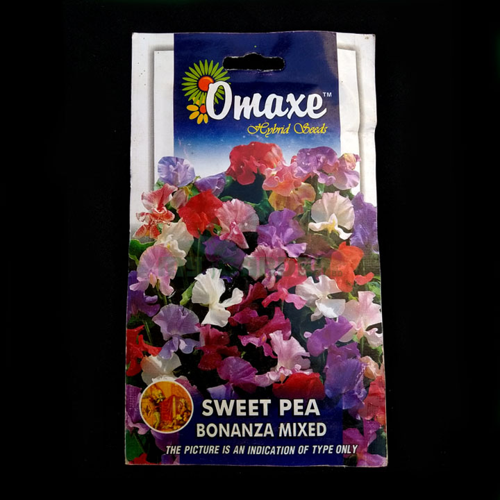 Sweet Pea Bonanza Mixed – (50 seeds) – Omaxe - Indian