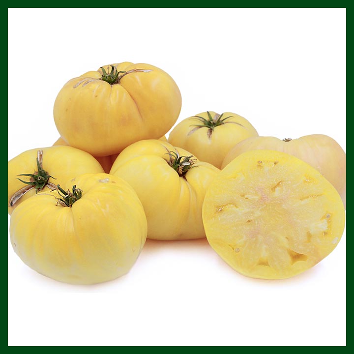 Tomato - Oblate Yellow –  টমেটো – Yellow – Indian – (30 Seeds)