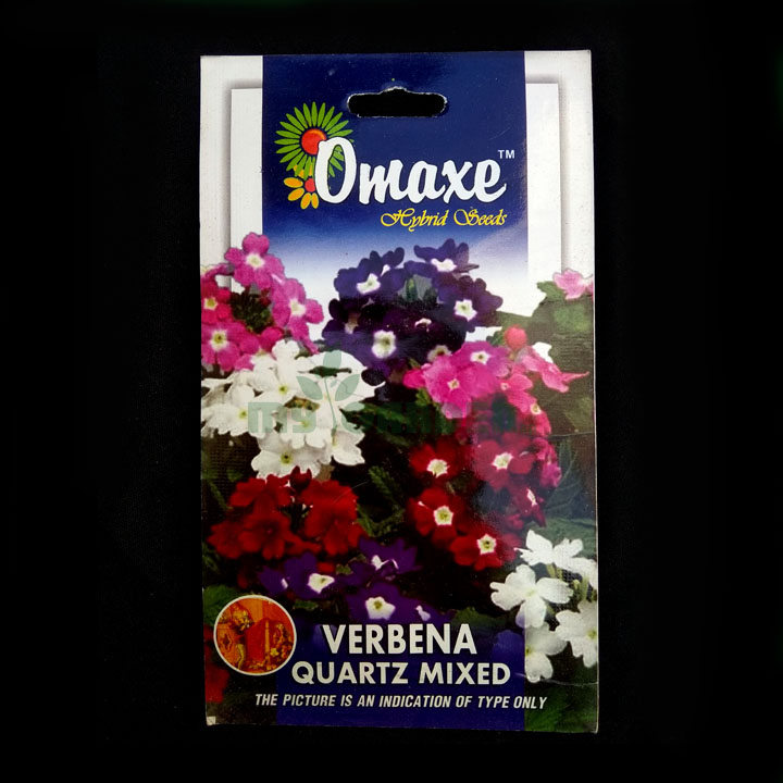 Verbena Quartz Mixed – (50 seeds) – Omaxe - Indian