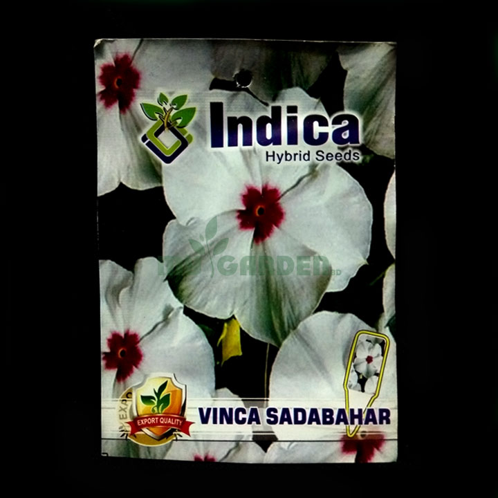 Vinca Sadabahar – (50 seeds) – Indica - Indian