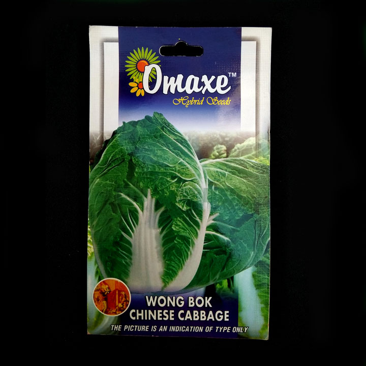 Wong Bok Chinese Cabbage – (50 seeds) – Omaxe - Indian