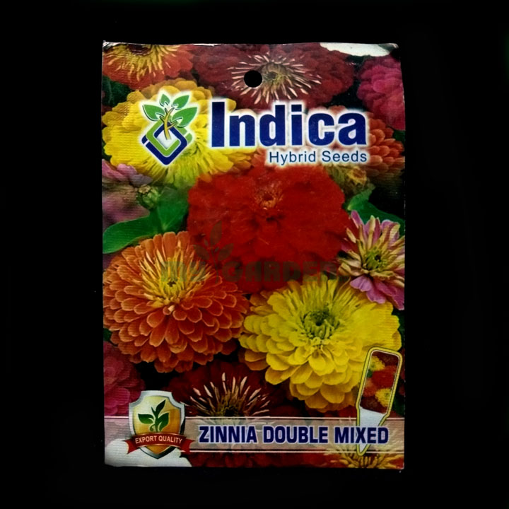 Zinna Double Mixed – (50 seeds) – Indica - Indian