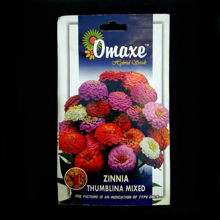 Zinnia Thumblina Mixed – (30 seeds) – Omaxe - Indian