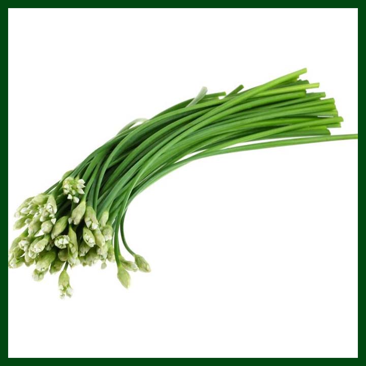 Chive - Erba Cipollina - 80 to 100 seeds - MGS1346