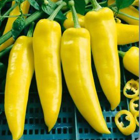 Hot Pepper Yellow Desire - 20 Seeds - MGS1174
