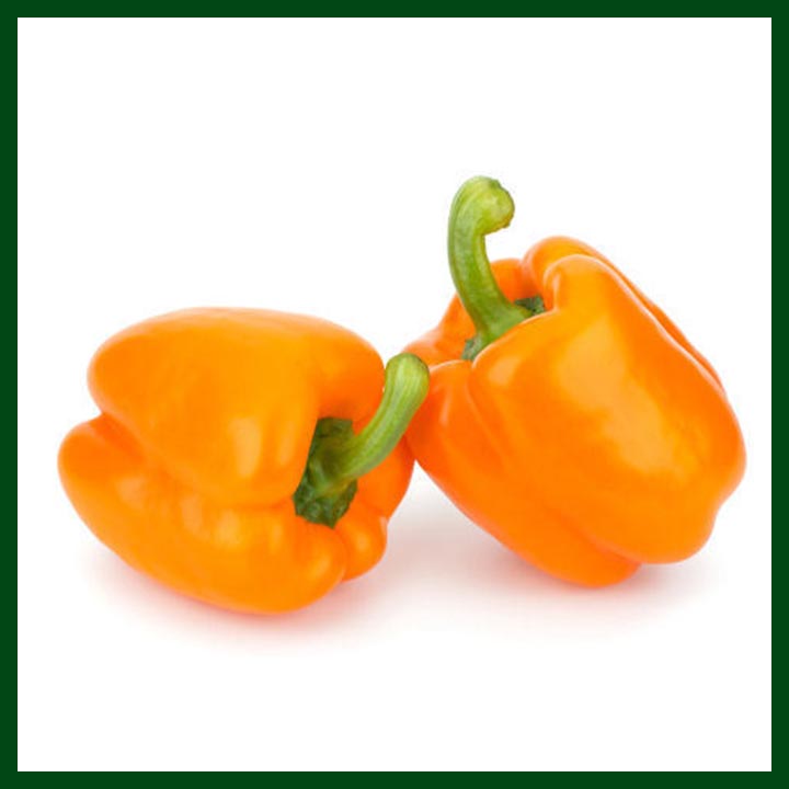 Capsicum – Orange – 150 to 200 seeds - Commercial Pack