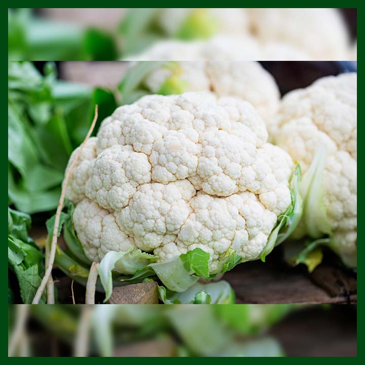 Cauliflower F1 Hybrid - ফুলকপি - 2900 to 3300 Seeds - Commercial Pack