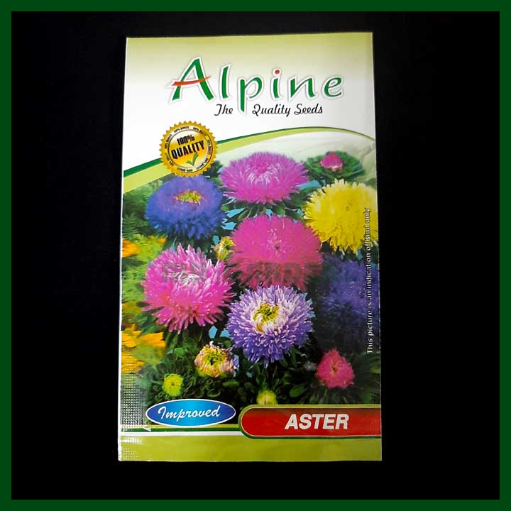 Aster Mixed Color - 35 seeds - Alpine - Flower Seeds