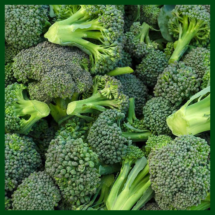 -Broccoli - F1 Hybrid Seeds - (1400 to 1500 seeds) - Commercial Pack