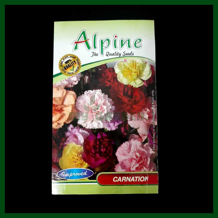 Carnation Mixed Color - above 35 seeds - Alpine - Flower Seeds