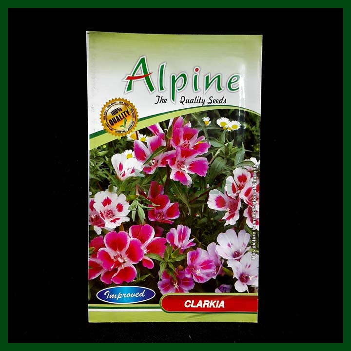 Clarkia - 35 Seeds - Alpine - Indian