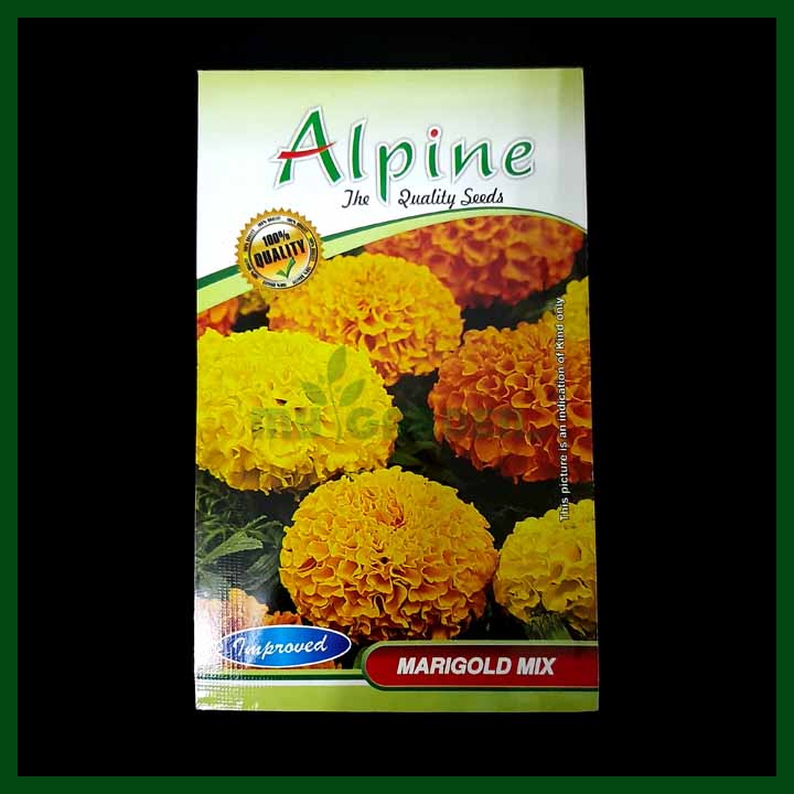 Marigold Mix - Alpine - Flower Seeds