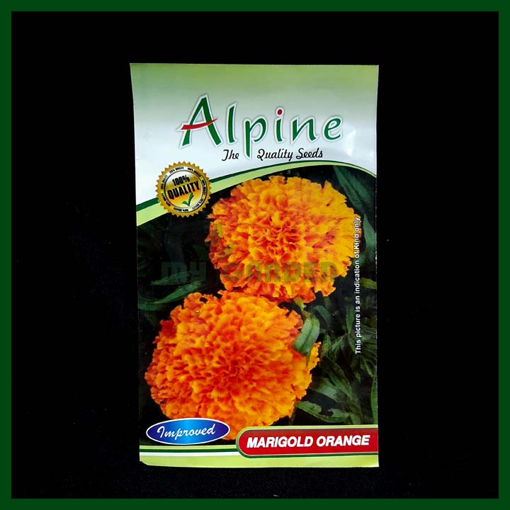 Marigold Orange - 40 seeds - Alpine - Indian