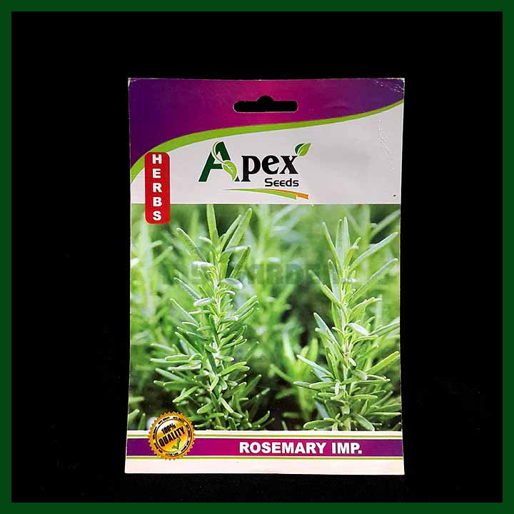 Rosemary - Apex - Indian