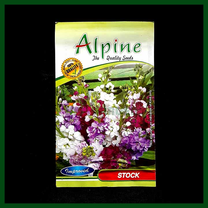 Stock - 35 Seeds - Alpine - Indian