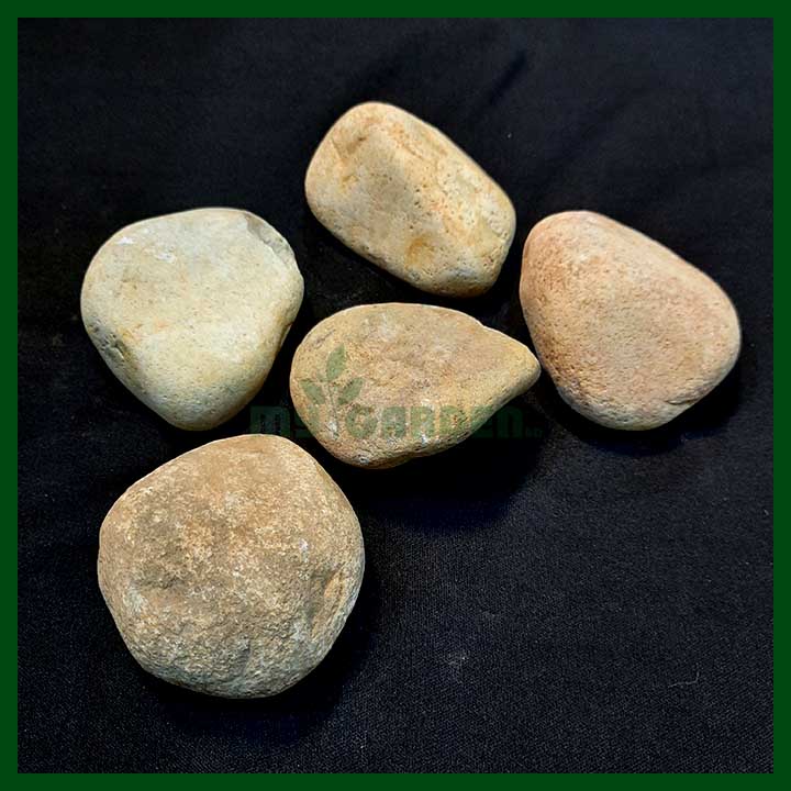 Pebbles Large - 63mm to 88mm - MGTA2058
