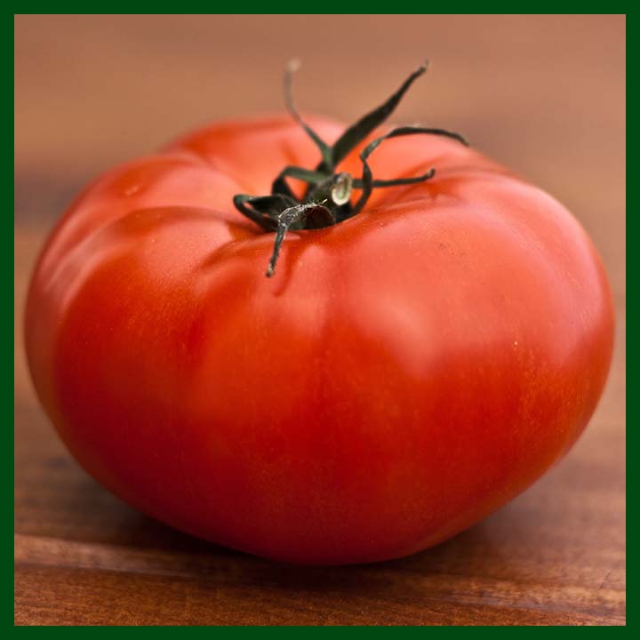 Red Tomato - টমেটো - (200 to 250 Seeds) - MGS1019