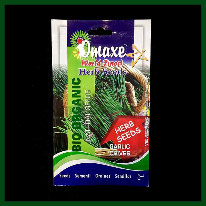 Garlic Chives – 40 seeds – Omaxe - Indian