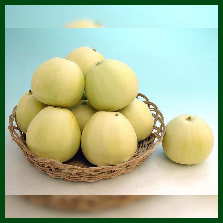 Sweet Melon F1 Hybrid  - Premium Grade - 0.5 gram - Advance Seeds - Thai