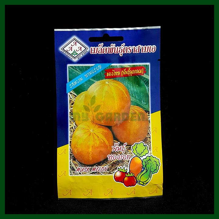 Musk Melon - Thai - 60 seeds - AAA Seed