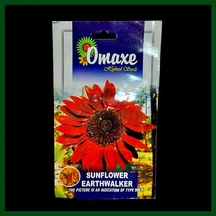 Sunflower Earthwalker – (30 seeds) – Omaxe - Indian