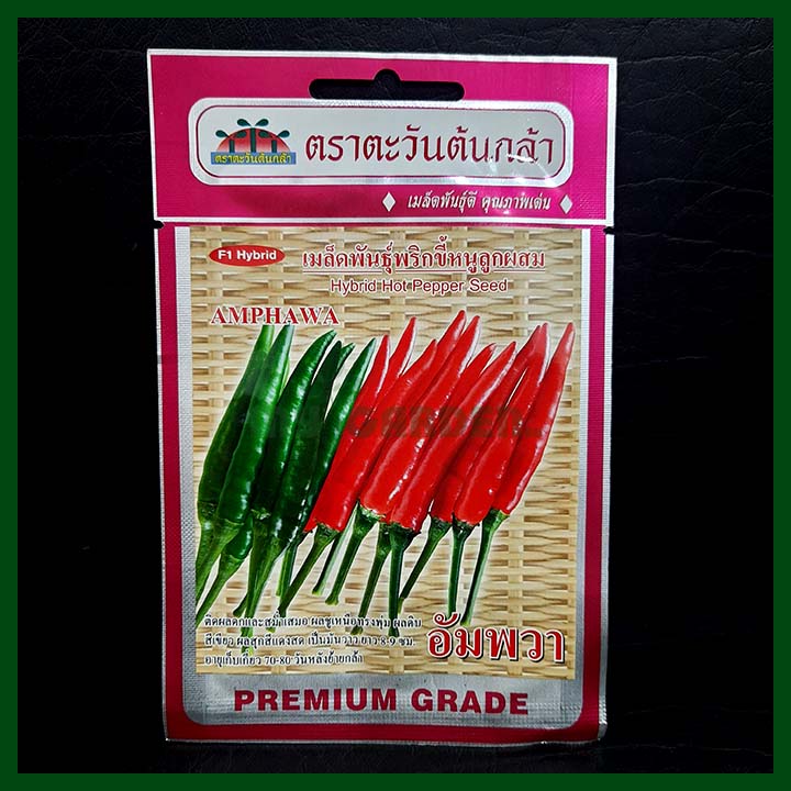 Amphawa F1 Hybrid Hot Pepper Seed - Premium Grade - 0.3g - Thai