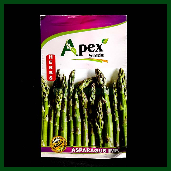 Asparagus Imp – Apex Seeds - Indian