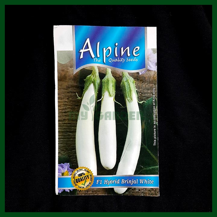 Brinjal White F1 Hybrid Seeds - Alpine - Indian