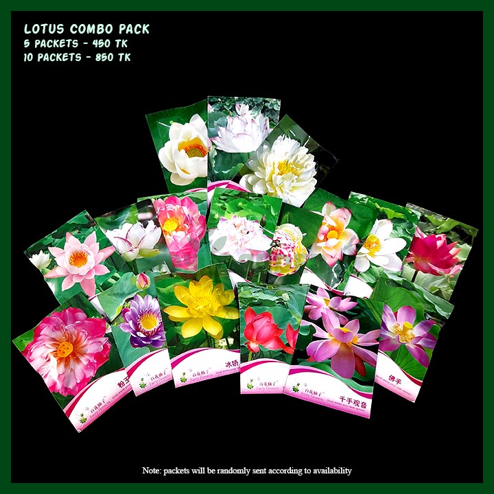 -Lotus Flower Seeds Combo Pack