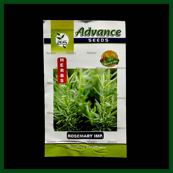 Rosemary IMP – Advance Seeds - Indian