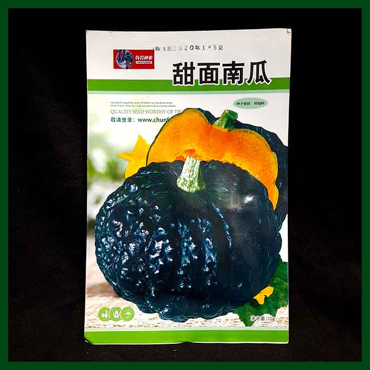 Chinese Black Pumpkin - Hanyu - MGS1372