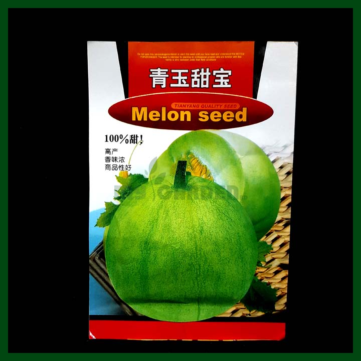 Chinese Green Melon - Tianyang - MGS1369