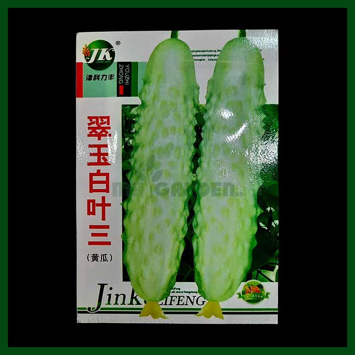 Cucumber Ribbed - JinKeLifeng - Chinese