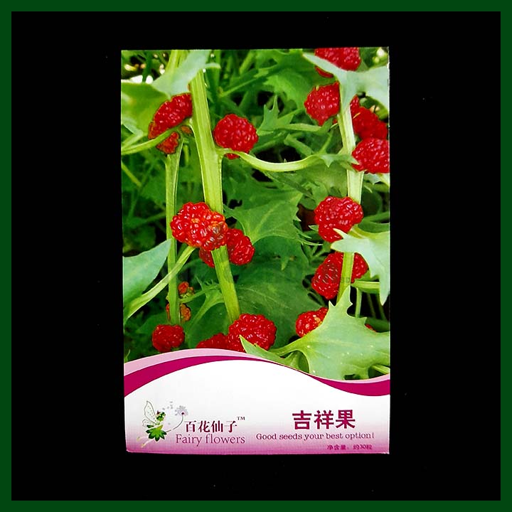 Lucky Fruit - Fairy Seed - Chinese