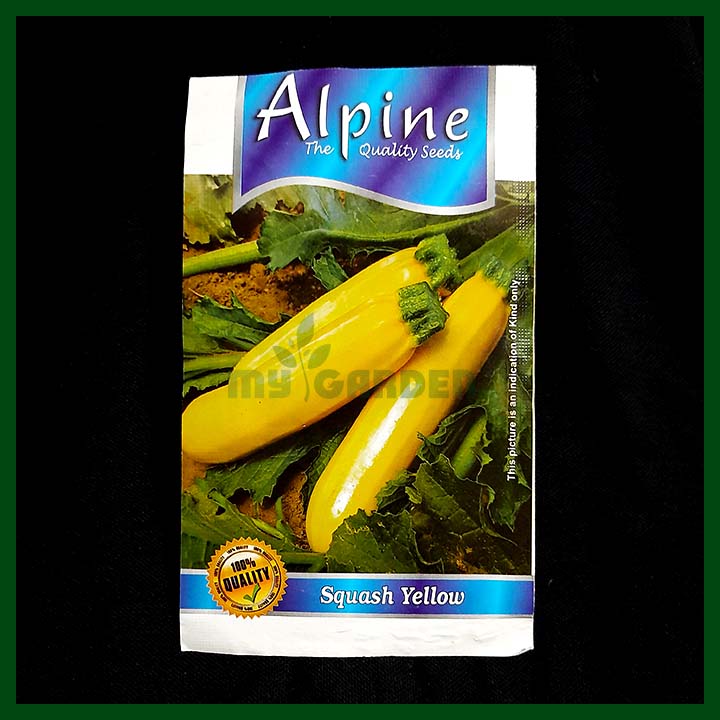 Squash Yellow – Alpine Seeds - Indian