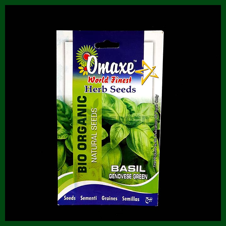 Basil Genovese Green - 100 seeds - Omaxe - Indian