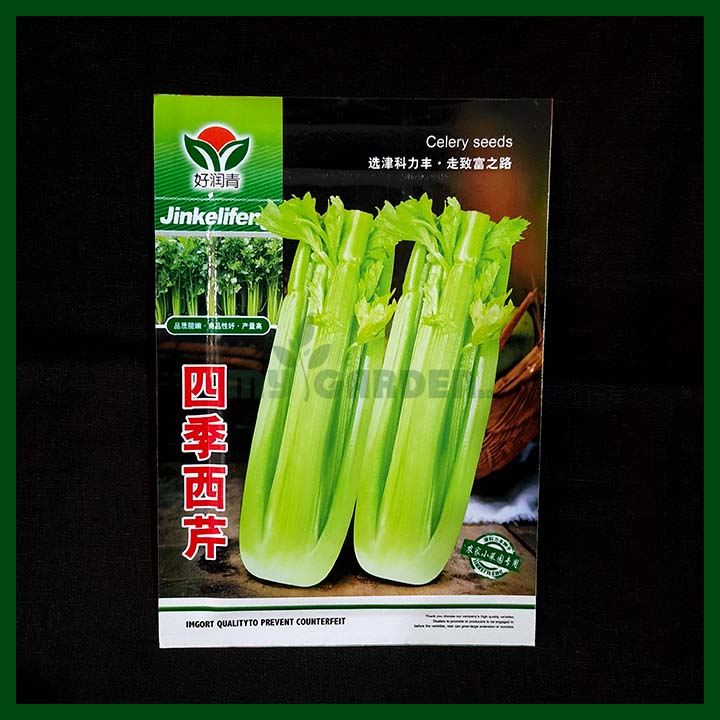 Celery - JinKeLifeng - Chinese