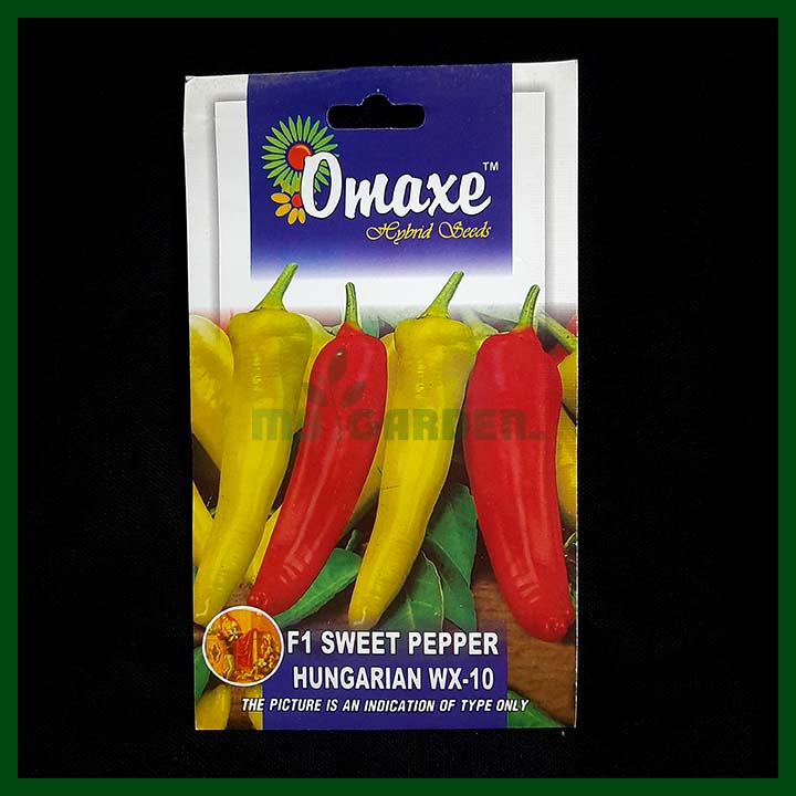 F1 Sweet Pepper Hungarian WX-10 - 30 seeds - Omaxe - Indian
