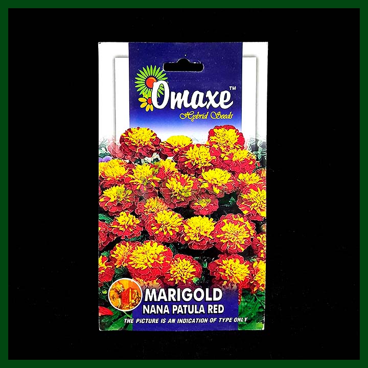 Marigold Nana Patula Red - 50 seeds - Omaxe - Indian