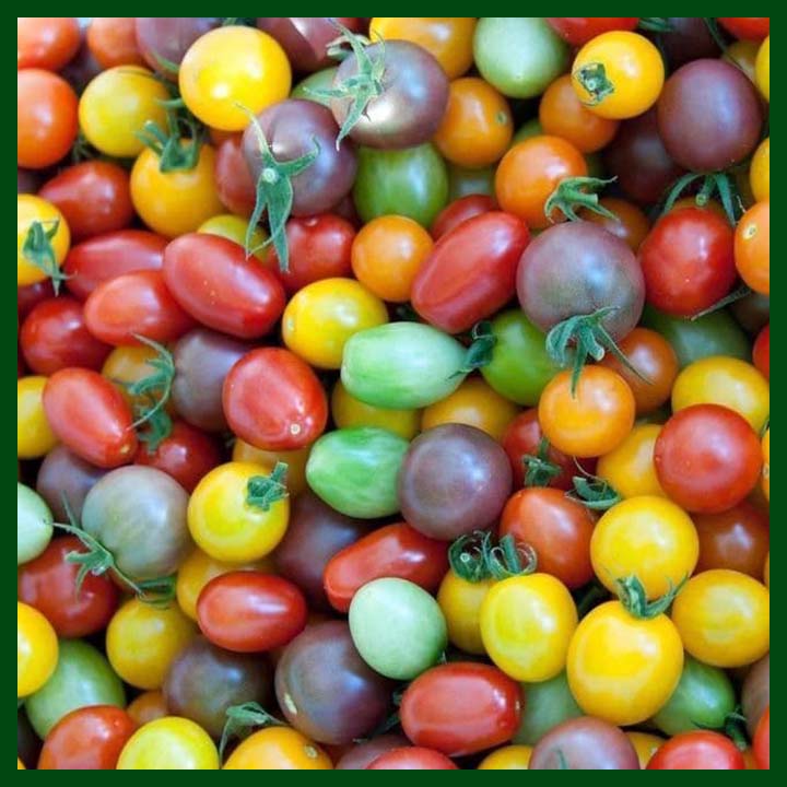 Mixed Tomato Seed - 200 seeds - Chinese - Huayupai