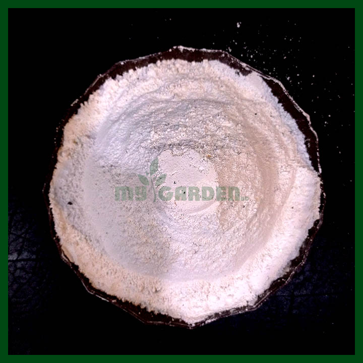 Crushed Oyster Shell Organic Fertilizer – 1 LB Fine Powder For Soil Mineral Nutrient