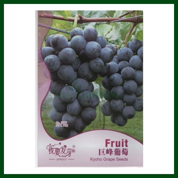 Kyoho Grape Seed - Chinese