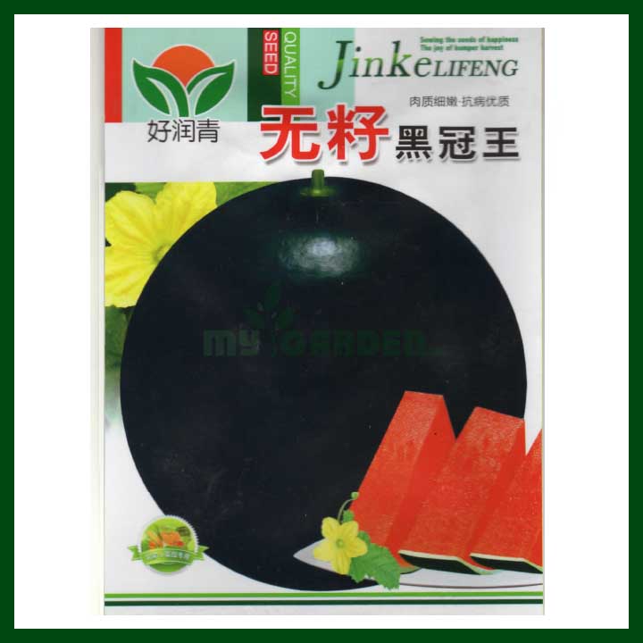 Watermelon Black Crown King Seedless - JK Lifeng - Chinese