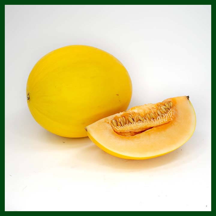 Yellow Melon F1 Hybrid - 20 seeds