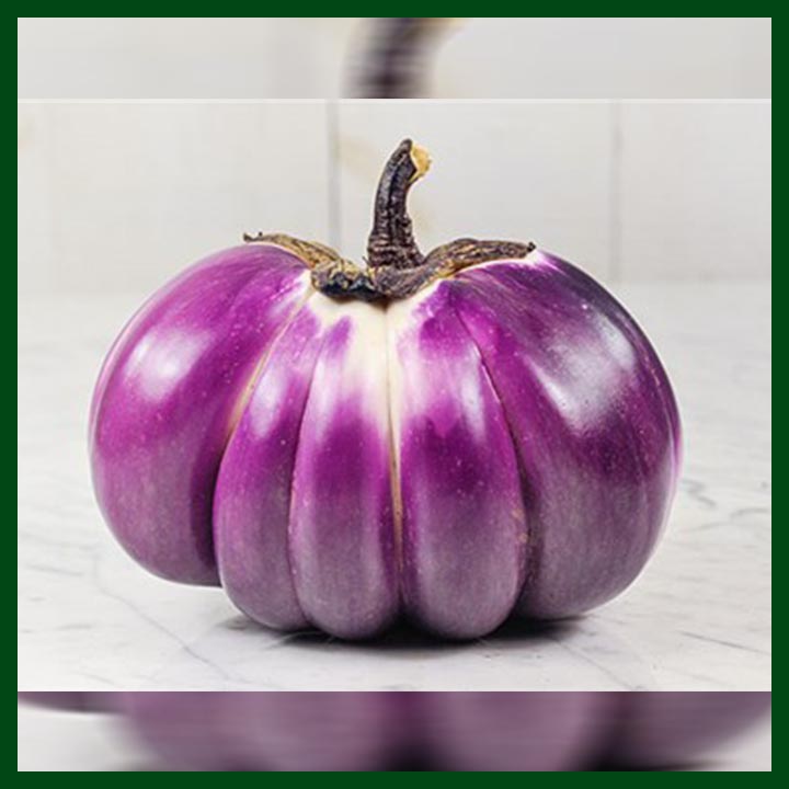 Brinjal Purple Round - Thai Hybrid - 100 seeds - AAA