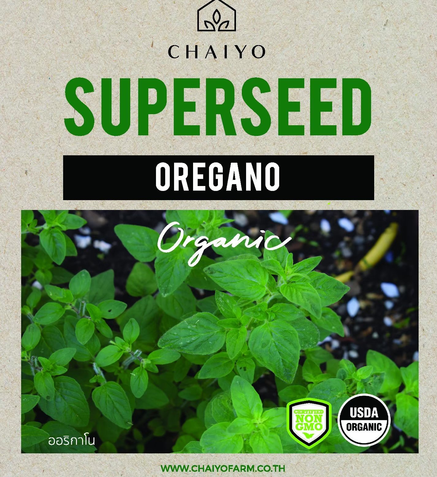 Oregano - 380 seeds - Chaiyo - Thai